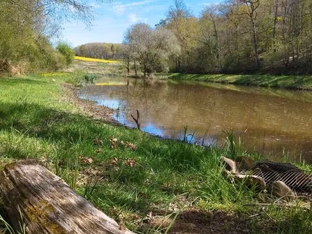étang avec terrain et bois