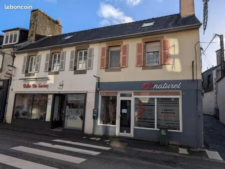 immeuble de rapport 10 pièces 154 m²