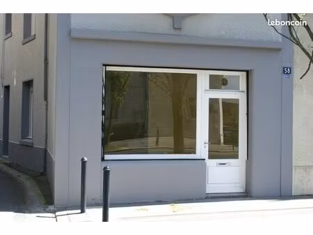 local commercial nantes schuman