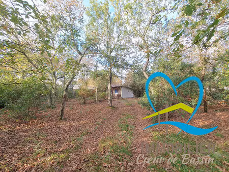 terrain viabilisé lanton