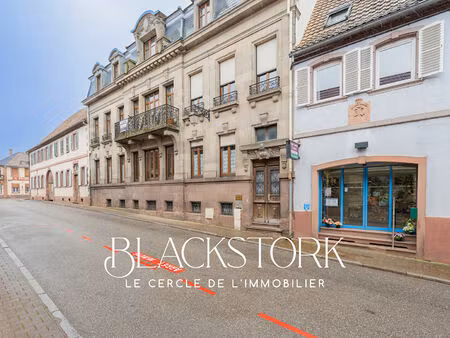 achat immeuble 442m² haguenau 67500