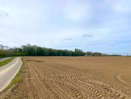 grond te koop in bertem