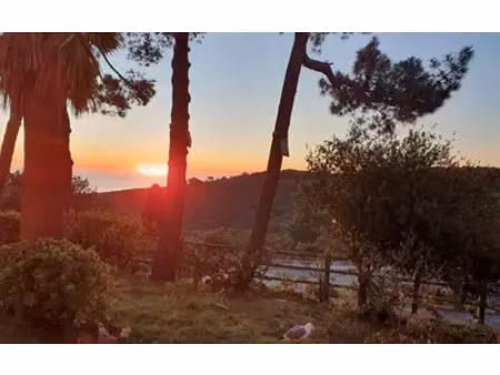 banyuls-sur-mer (66650)