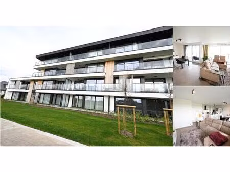 appartement à louer à hille 204 zwevezele (rbv69063)