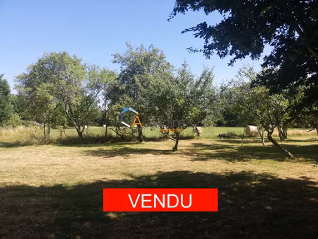 terrain saint benoit du sault 2400m2 20000€