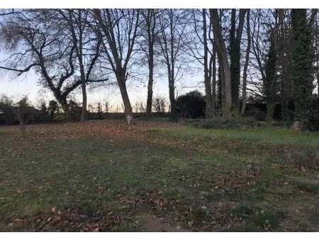 annonce vente terrain terrain de 402m2 à chamant (60300) - paruvendu.fr ref 992785833587