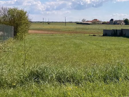 vente terrain 1500 m² champagnolles (17240)