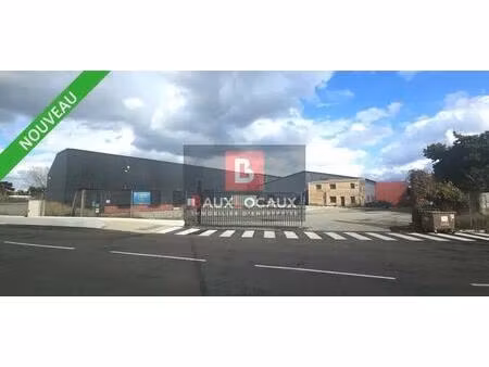 location entrepôt l isle sur la sorgue 84800 3549m²