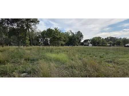vente terrain à construire 714 m² parentis-en-born (40160)