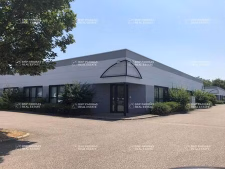 local d'activités à louer