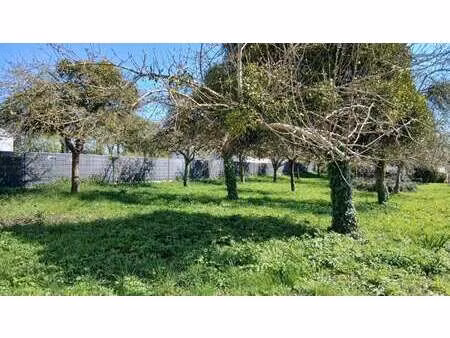 vente terrain à carentoir (56910) : à vendre / 1080m² carentoir