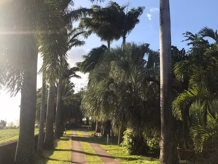 location villa 5 pièces