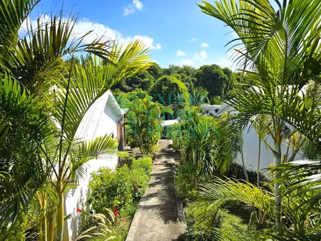vente propriété 5 pièces 150 m² à grand bourg (97112)  498 000 €