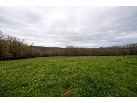 vente terrain 88086 m² lalongue (64350)