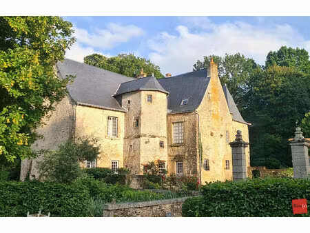 vente manoir 16 pièces