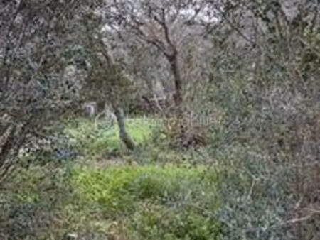 terrain constructible viabilisé à vendre