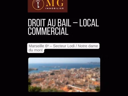 mg immobilier