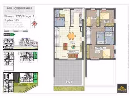 magnifique duplex 3 chambres