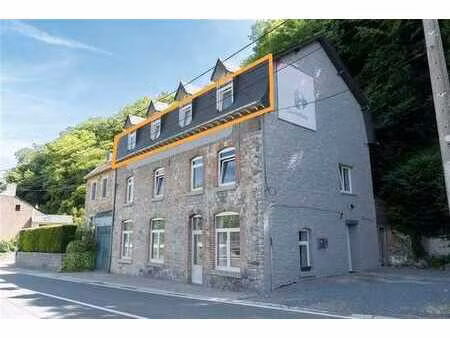 duplex 3 ch -2 sdb avec vue meuse - pas de travaux