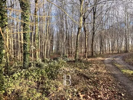 maison de luxe à vendre à rouen