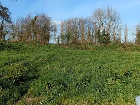 terrain constructible viabilisé à vendre