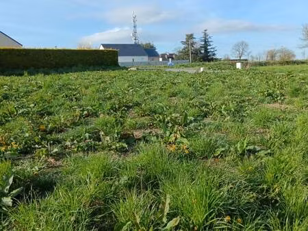 terrain constructible à vendre