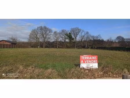 terrain constructible viabilisé à vendre