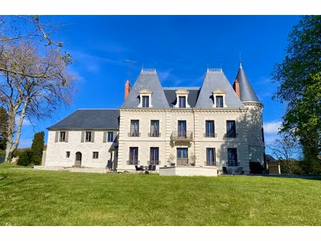 vente château 18 pièces 587.98 m² à nevers (58000)  1 190 000 €