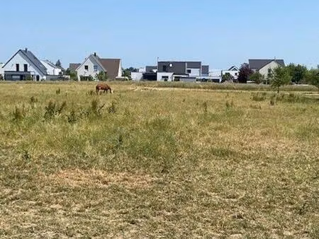 terrain constructible viabilisé à vendre