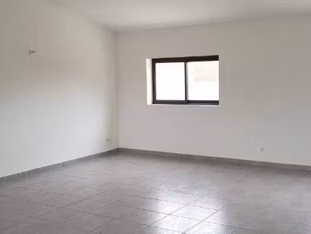 immobilière les allées