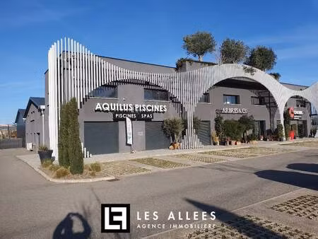 immobilière les allées