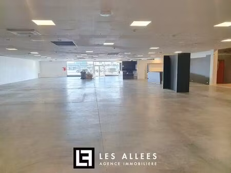 immobilière les allées