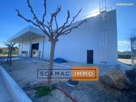 local commercial 550 m²