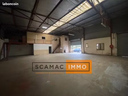 local d'activité 300 m²