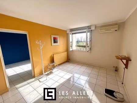 immobilière les allées