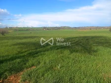 we invest christine basques