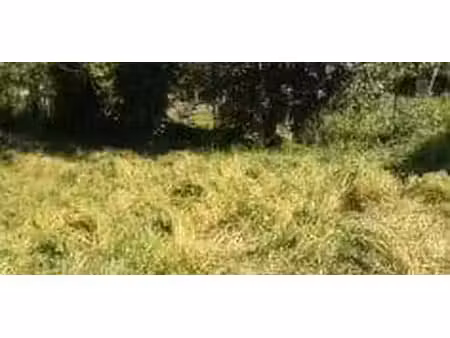 terrain constructible à vendre