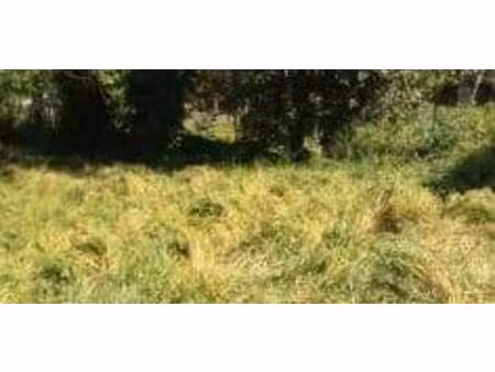 terrain constructible à vendre