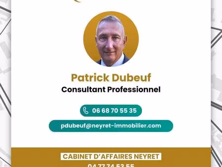 neyret immobilier st etienne