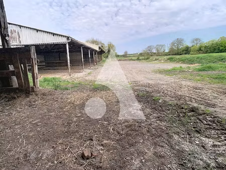 vente local industriel 4008 m² noyelles-sous-bellonne (62490)