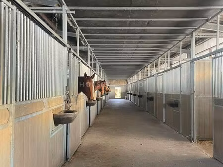 haras de reproduction clé en main sur 52 ha dans le morbihan (5