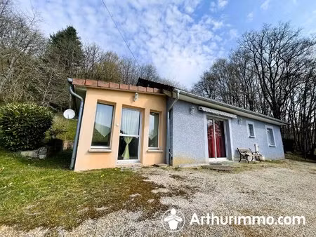 100% plain pied  dépendances  terrain 50 ares  environnement verdoyant.