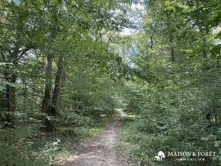 propriété de loisirs à vendre