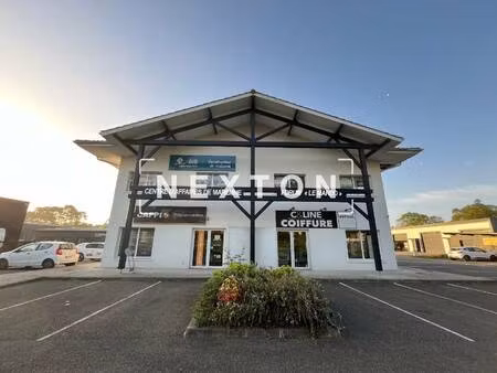 nexton immobilier