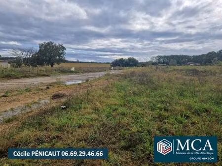 terrain constructible viabilisé à vendre