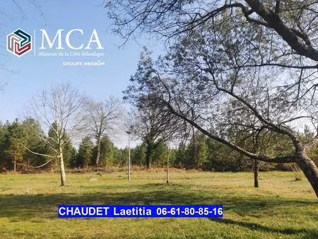 terrain constructible à vendre