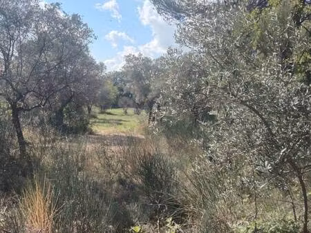 terrain constructible à vendre