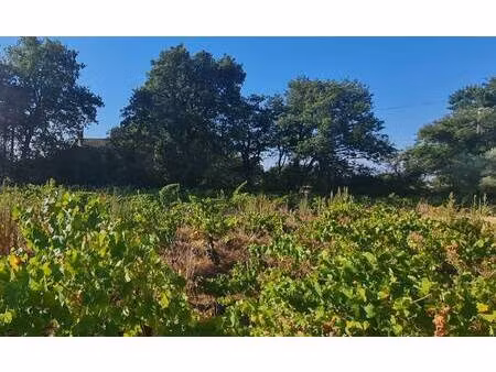 terrain constructible à vendre