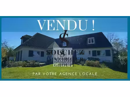 souchez immobilier