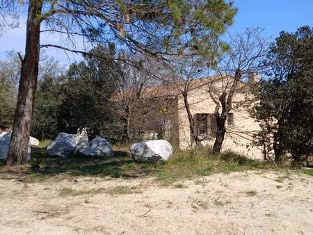 transaxia immo - caps immobilier